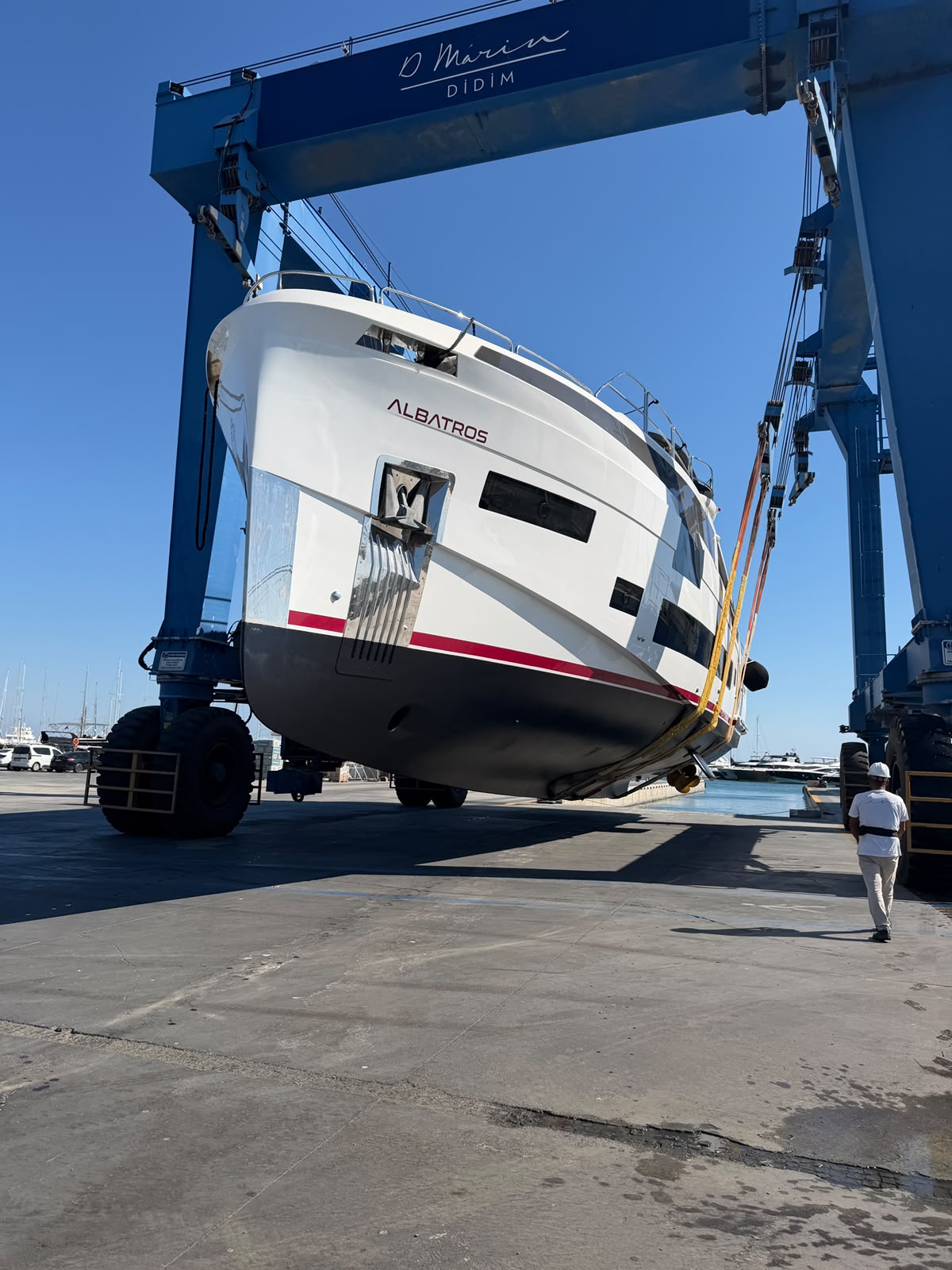 ALBATROS